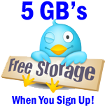free_storage